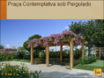 /album/view-ponta-negra/imagem8-png/